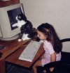 Cat chasing the cursor